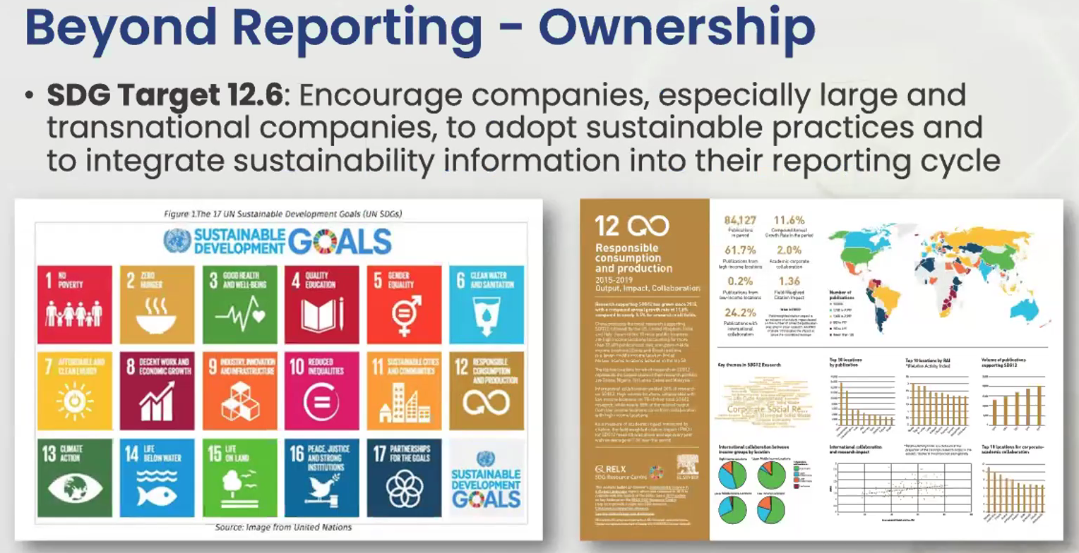 SDG Target Beyond Reporting Ownership